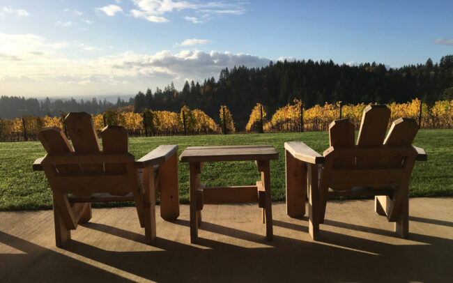 Adirondack chairs with a beautiful view of the J.K. Carriere vineyards