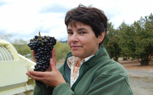 Linda holding up a cluster of freshly harvested wine grapes